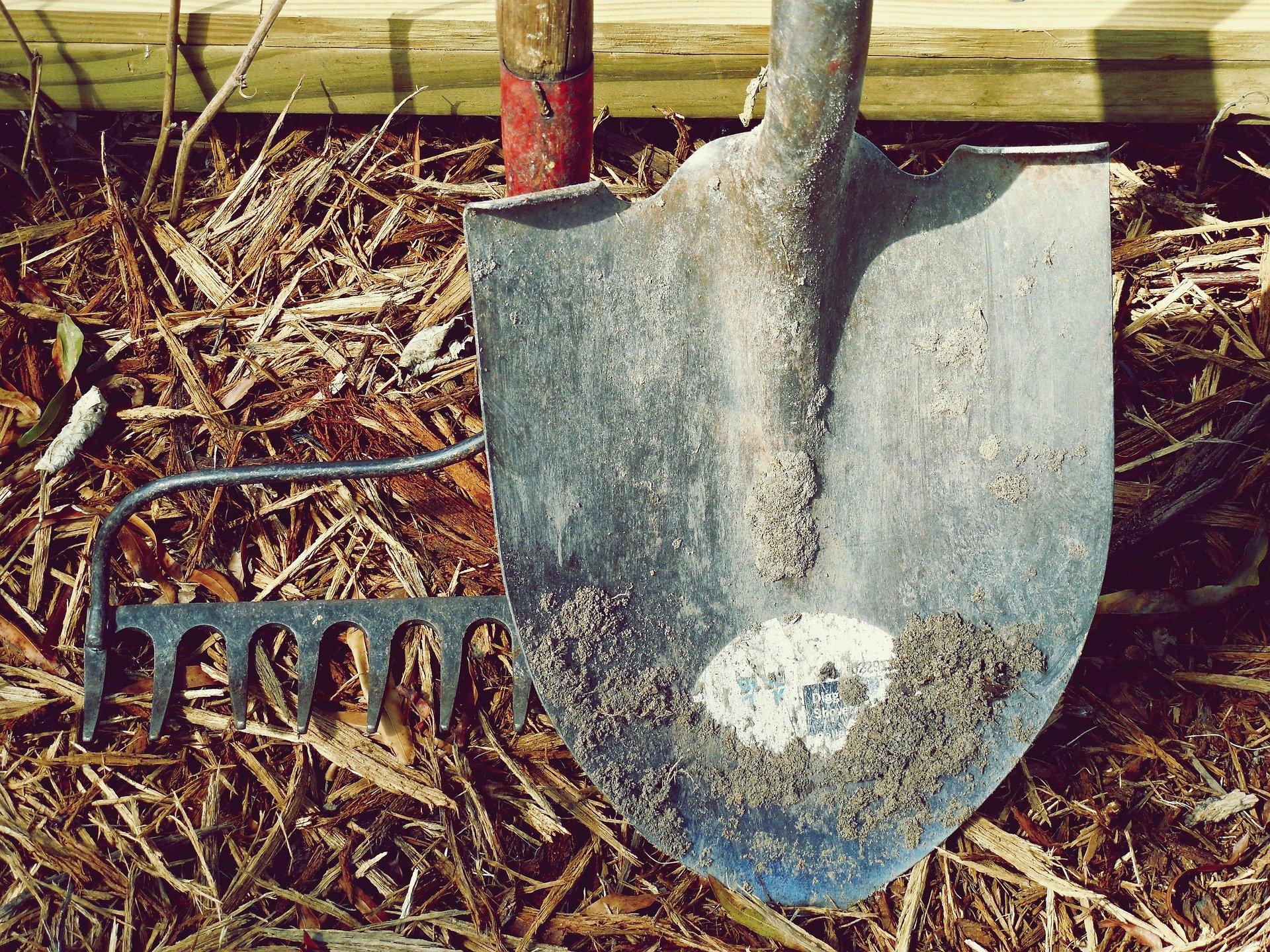 Shovel and rake
